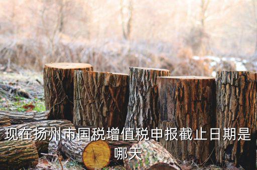 揚(yáng)州10月稅務(wù)申報(bào)什么時(shí)候，個(gè)人所得稅10月份申報(bào)期限是多少