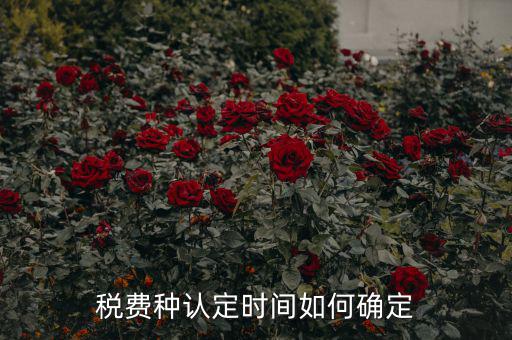 稅種認(rèn)定后什么時(shí)間申報(bào)，稅務(wù)局變更稅費(fèi)種認(rèn)定變更后多久可以可以報(bào)稅