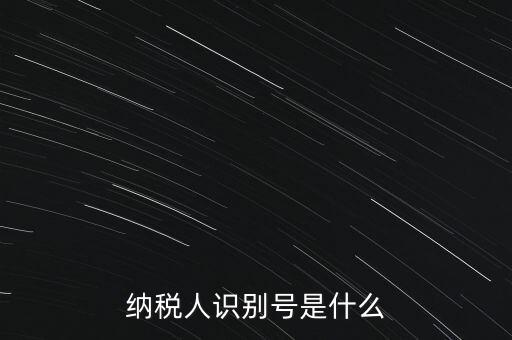 山西國稅納稅人識(shí)別號(hào)是什么，納稅人識(shí)別號(hào)是什么