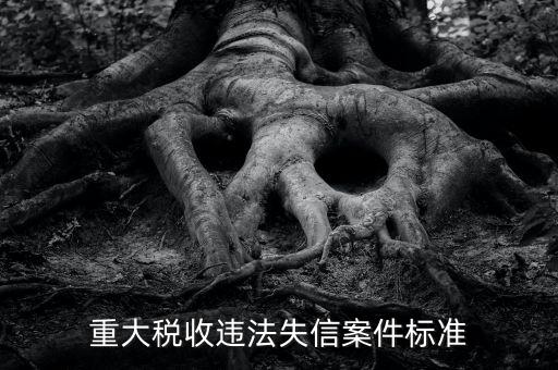 重大稅收違法是什么意思，實名辦稅黑名單納稅人是什么意思