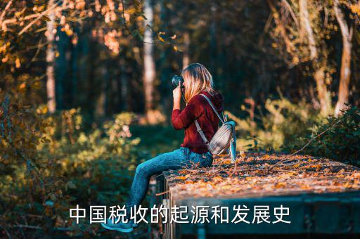 稅收產(chǎn)生于什么社會(huì)，稅收的起源