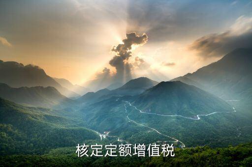核定定額什么意思，什么叫上網(wǎng)電量和核定的定額稅率