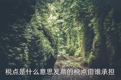 稅點由什么決定，稅點是什么意思