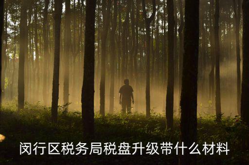 去升級(jí)稅控盤要帶什么，去國(guó)稅稅控盤升級(jí)需要帶哪些材料