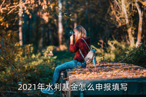 水利基金每年什么時候申報，電子稅務局怎么查啊水利建設基金是按季報還是按月報
