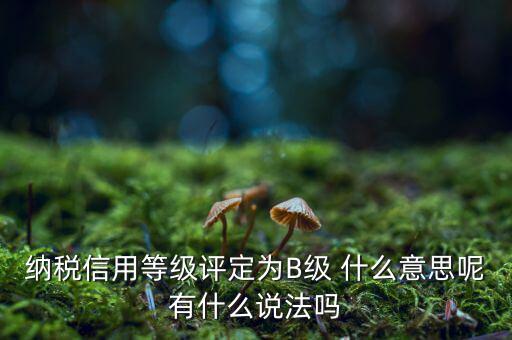 國稅b級信用是什么意思，納稅信用等級評定為B級 什么意思呢有什么說法嗎