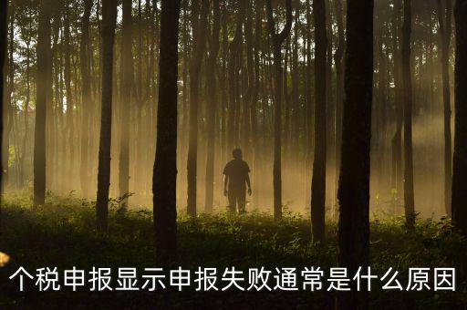 個(gè)稅申報(bào)系統(tǒng)為什么不能反饋，為什么個(gè)人所得稅申報(bào)以后反饋信息失敗
