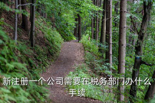 新辦企業(yè)需要到地稅辦理什么手續(xù)費(fèi)，新注冊(cè)一個(gè)公司需要在稅務(wù)部門辦什么手續(xù)