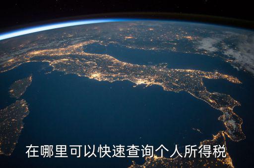 在哪里可以快速查詢(xún)個(gè)人所得稅