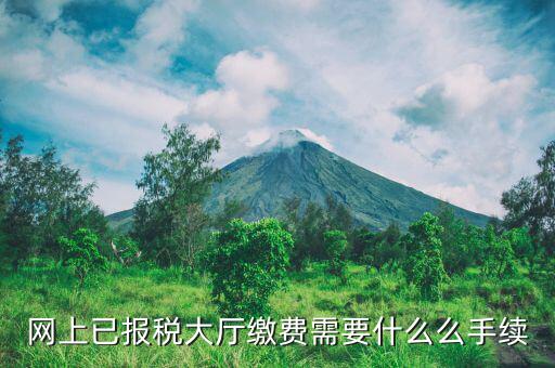 到大廳劃稅款需要什么意思，納稅人到銀行劃解稅款的征收方式劃解是什么意思
