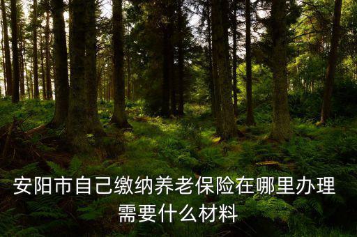 安陽地稅局交個人保險在什么地方，安陽市醫(yī)保交費在哪里地稅局