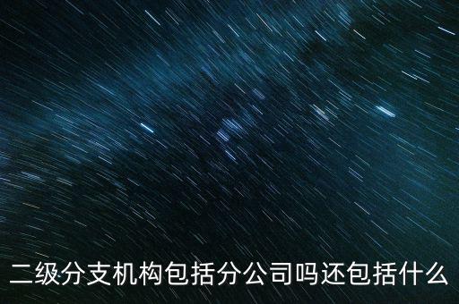 什么是二級(jí)分支機(jī)構(gòu)，現(xiàn)在分公司要辦稅務(wù)登記證但是我想問一下二級(jí)分機(jī)構(gòu)指的是