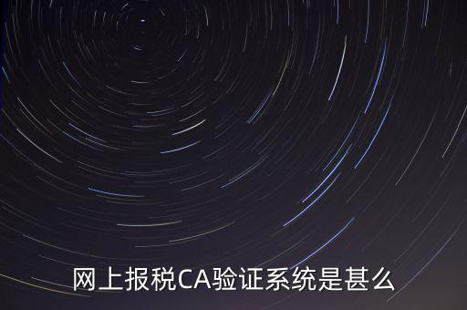 網上報稅CA驗證系統(tǒng)是甚么