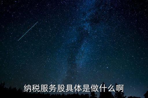 納稅服務(wù)股是什么意思，納稅服務(wù)股具體是做什么啊