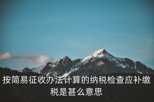 簡易征收什么意思，按簡易征收辦法計算的納稅檢查應(yīng)補(bǔ)繳稅是甚么意思