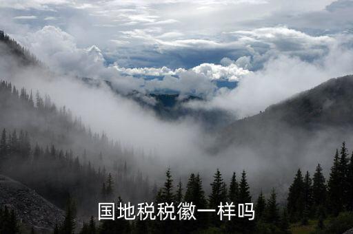 國稅局肩上的稅徽象征什么，國稅稅收完稅憑證右上角代表什么意思