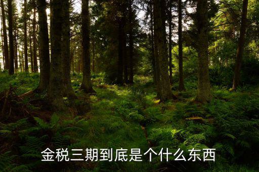金三上線是什么意思，什么是稅務(wù)金山系統(tǒng)