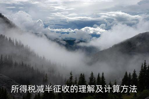 所得稅減半征收的理解及計算方法