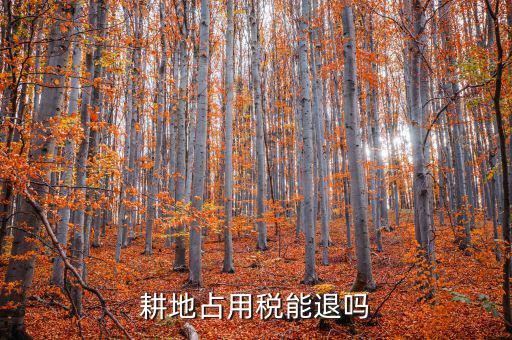 耕地占用稅什么情況可以退，占用耕地罰款后拆遷還能退嗎