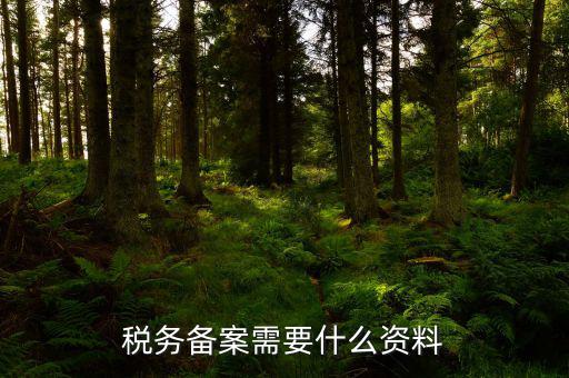 消費稅免稅備案需要帶什么資料，理跨境服務免稅備案手續(xù)時需要提交哪些資料