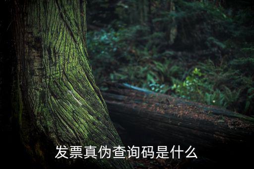網(wǎng)絡(luò)發(fā)票查詢號是什么，發(fā)票真?zhèn)尾樵兇a是什么