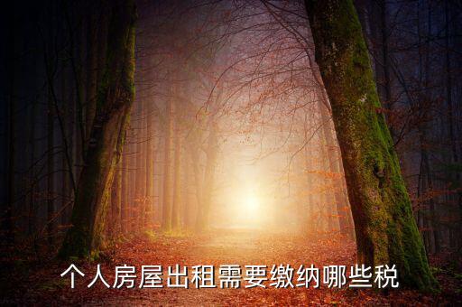 個人租房交什么稅，個人出租房屋要交什么稅費