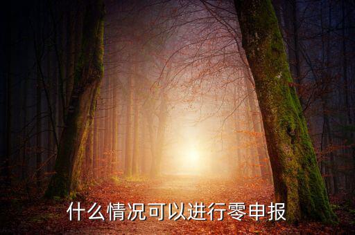 什么情況下可以一鍵零申報(bào)，什么情況可以進(jìn)行零申報(bào)