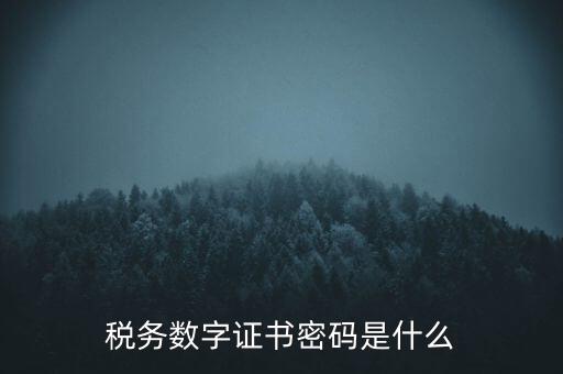 輸入稅務(wù)數(shù)字證書密碼是什么，稅務(wù)數(shù)字證書密碼是什么