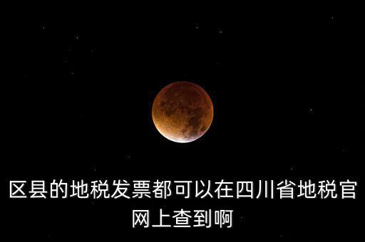 四川省網(wǎng)上稅務(wù)局用什么服務(wù)器，區(qū)縣的地稅發(fā)票都可以在四川省地稅官網(wǎng)上查到啊