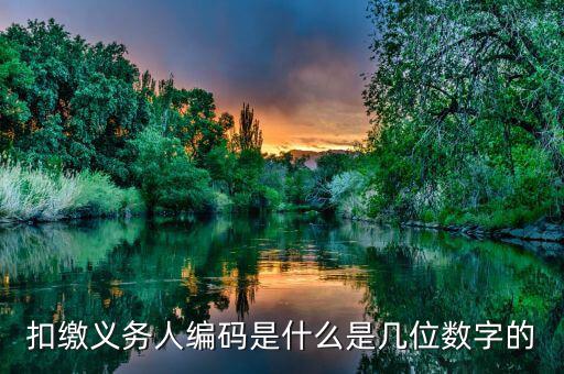 扣繳義務人編碼是什么是幾位數(shù)字的