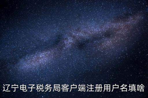 遼寧省網(wǎng)上稅務(wù)局登錄需要什么，遼寧電子稅務(wù)局客戶端注冊用戶名填啥