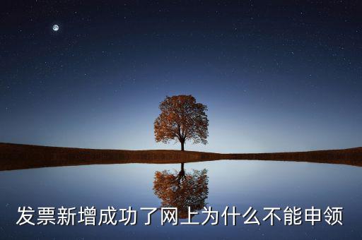 發(fā)票新增成功了網上為什么不能申領