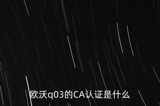 ca認(rèn)證密碼是什么意思，歐沃q03的CA認(rèn)證是什么