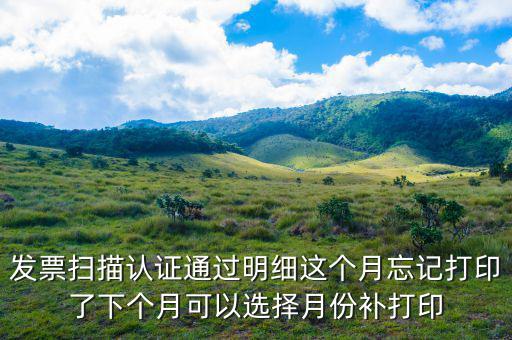 發(fā)票掃描認(rèn)證通過明細(xì)這個(gè)月忘記打印了下個(gè)月可以選擇月份補(bǔ)打印