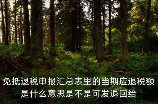 免抵退貨物應(yīng)退稅額是什么意思，免抵退應(yīng)退稅額是什么意思