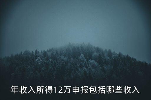 十二萬(wàn)申報(bào)是什么，12萬(wàn)個(gè)稅申報(bào)有什么用