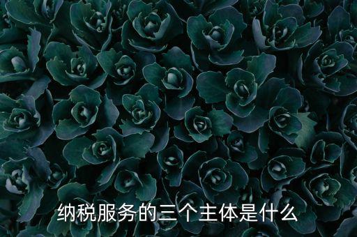 納稅服務 是什么，納稅服務的三個主體是什么