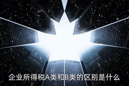 環(huán)境保護(hù)稅a類(lèi)和b類(lèi)什么區(qū)別，企業(yè)所得稅a類(lèi)表和b類(lèi)有什么區(qū)別