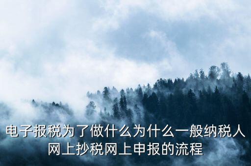 電子稅務(wù)申報(bào)是什么來(lái)的，電子申報(bào)納稅是怎么回事給報(bào)送紙質(zhì)申報(bào)材料一樣嗎