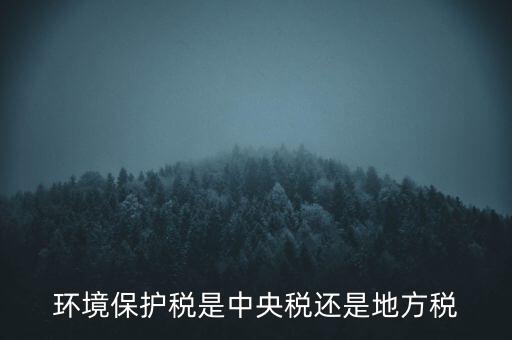 環(huán)境保護稅的機關(guān)是什么，環(huán)境保護稅由哪個機關(guān)負責(zé)征收