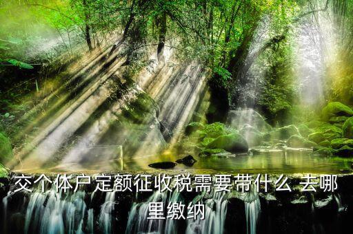 個體戶定額需要準備什么，交個體戶定額征收稅需要帶什么 去哪里繳納