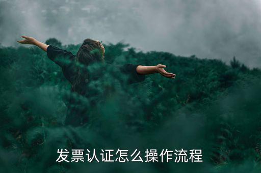 增值稅發(fā)票選擇確認(rèn)需要什么，增值稅發(fā)票認(rèn)證怎么操作