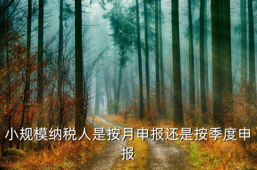 小規(guī)模納稅人按季申報(bào)是指什么，增值稅小規(guī)模納稅人按季申報(bào)怎么填