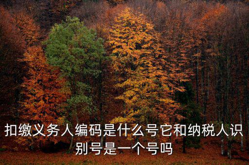 扣繳義務人編碼是什么號它和納稅人識別號是一個號嗎