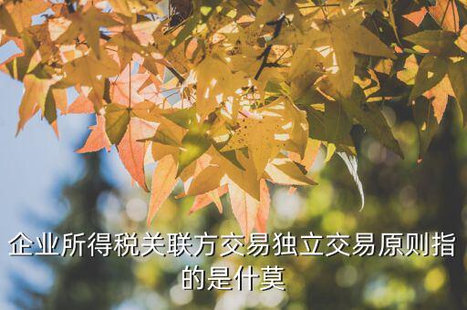 什么是合理商業(yè)目的，如何判斷企業(yè)實(shí)施的納稅籌劃不具有合理商業(yè)目的