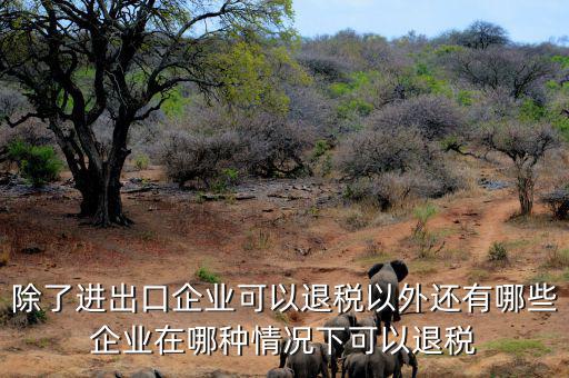 中國什么公司可以退稅，除了進出口企業(yè)可以退稅以外還有哪些企業(yè)在哪種情況下可以退稅