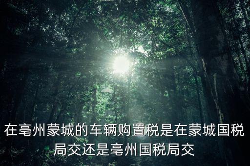 國稅局掛牌是什么意思，濮陽摩托辦照