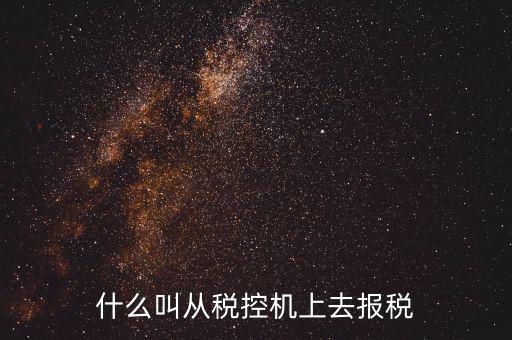 什么是稅控機的即時申報，稅控機申報記錄甚么意思
