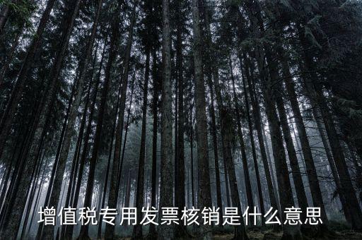 發(fā)票管家是什么，發(fā)票開票系統(tǒng)KEY是什么