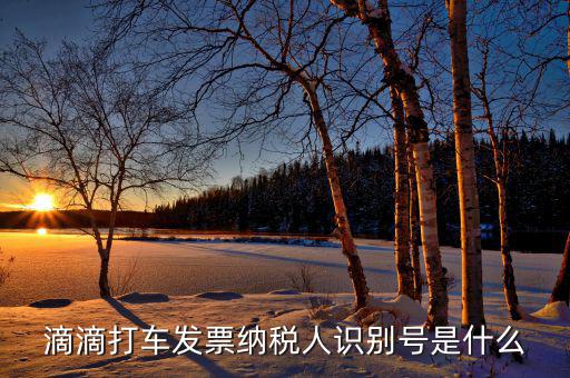 稅優(yōu)識別號是什么，滴滴打車發(fā)票納稅人識別號是什么